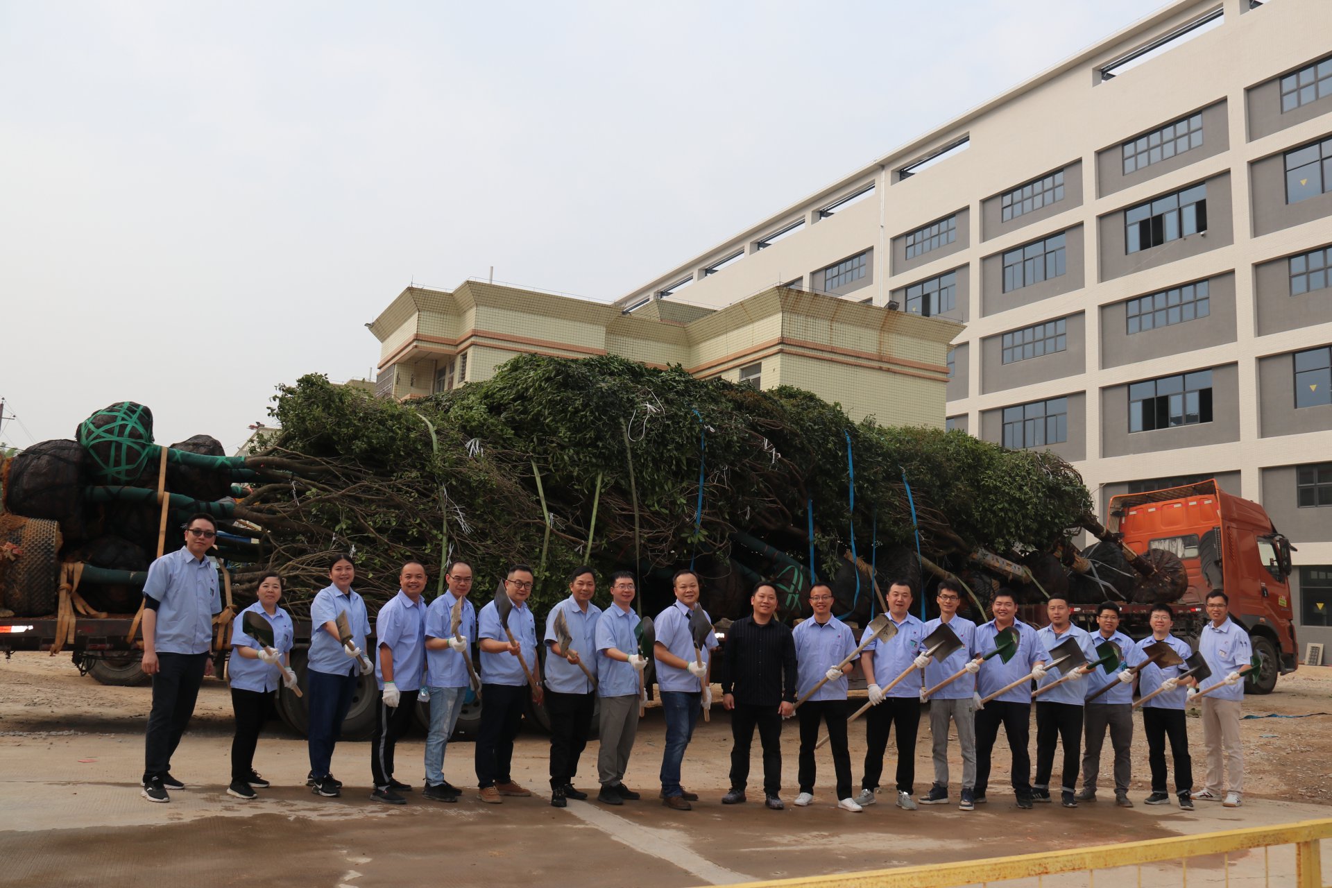 植樹節(jié)活動(dòng)